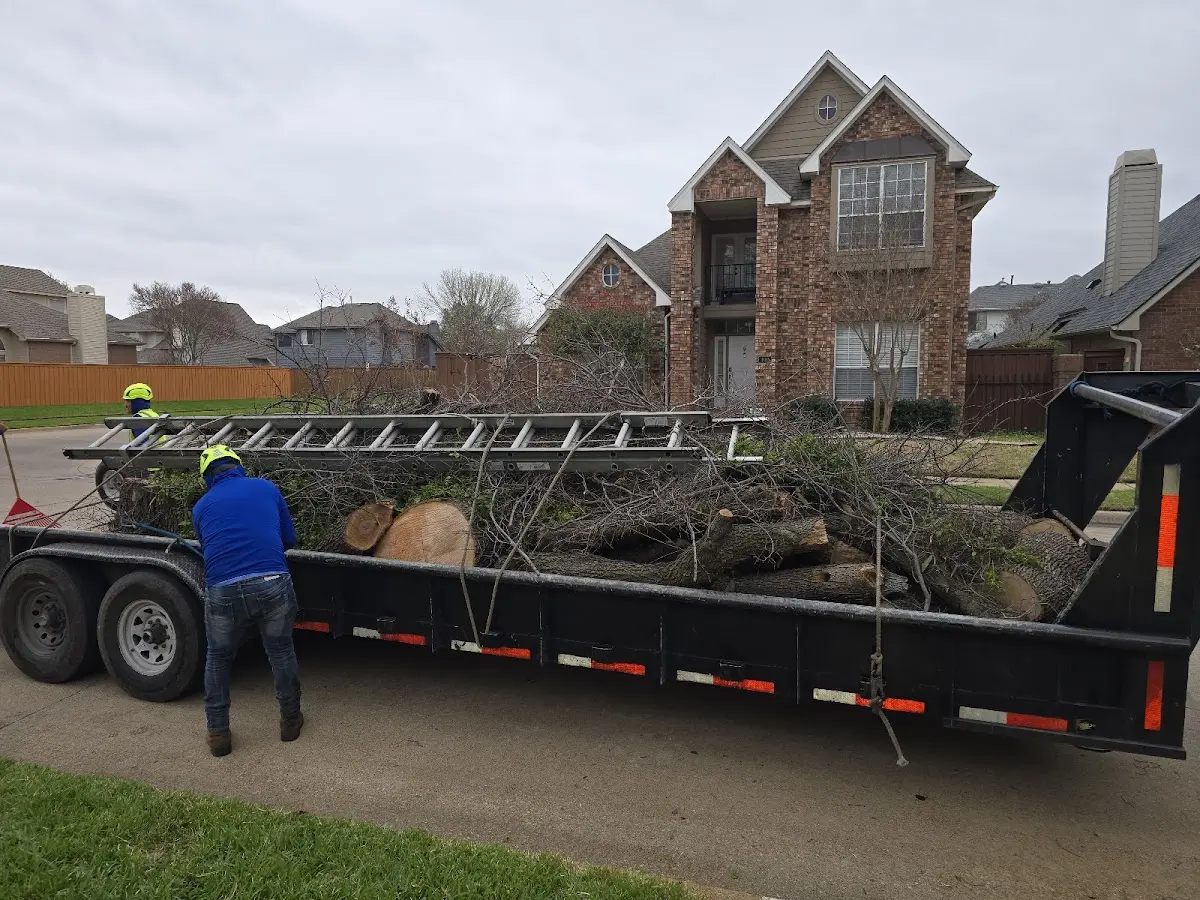 Expert Lot Clearing with proper safety equipment in Walhalla